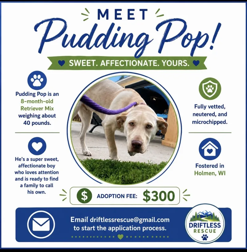 Puddin Pop thumbnail 2