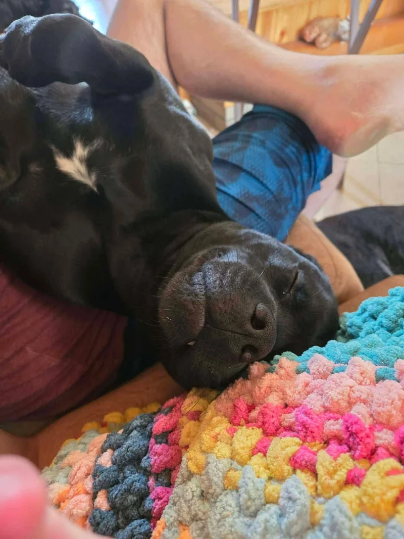Handsome boy Apollo thumbnail 5
