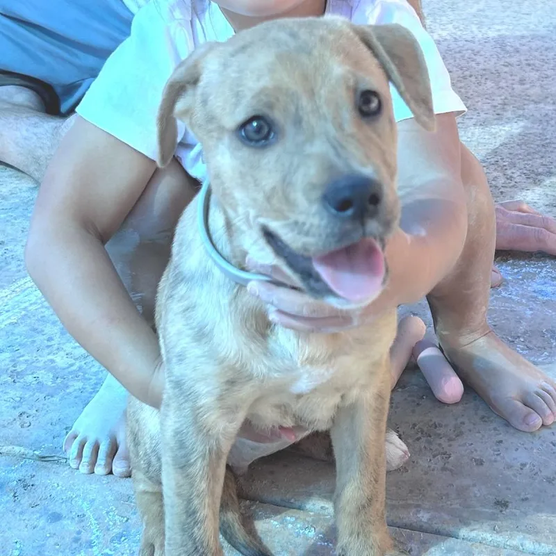 Coco WT thumbnail 5