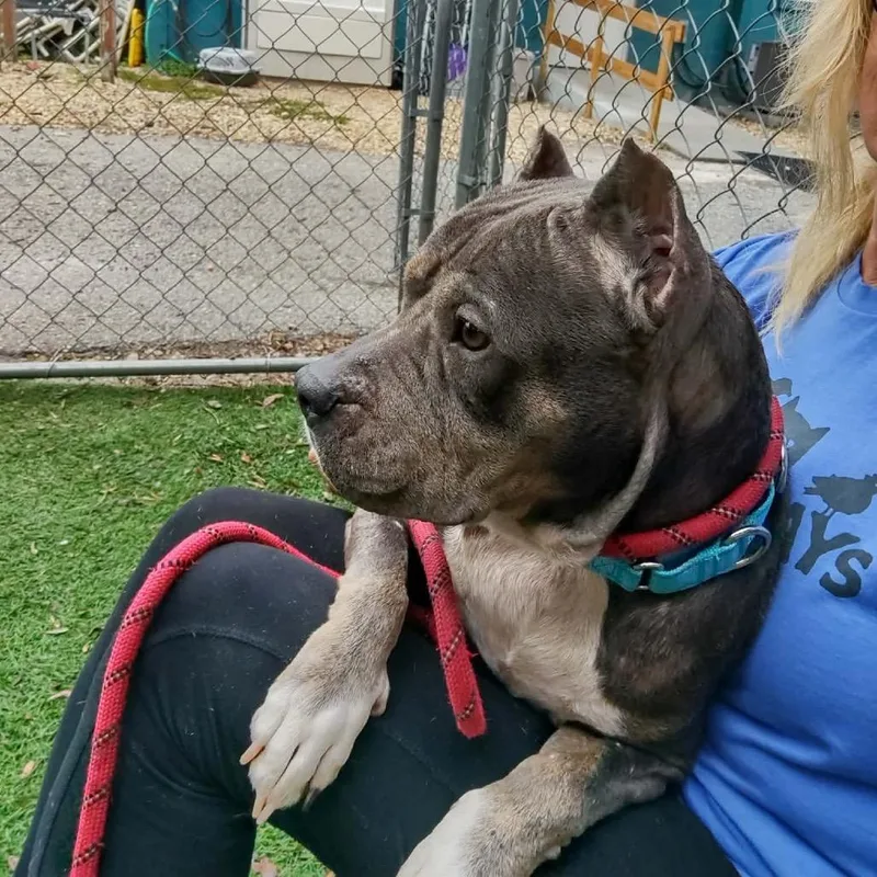 Gramma Juju thumbnail 2