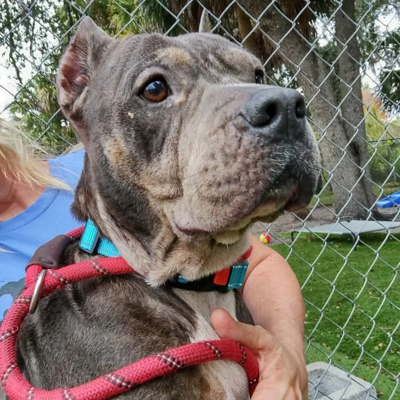 Gramma Juju thumbnail 3