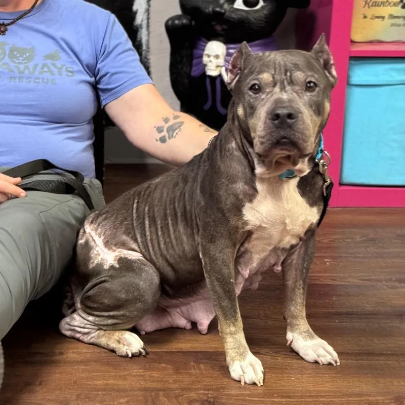 Gramma Juju thumbnail 4