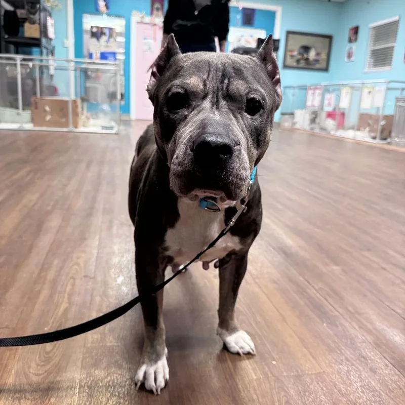 Gramma Juju thumbnail 5