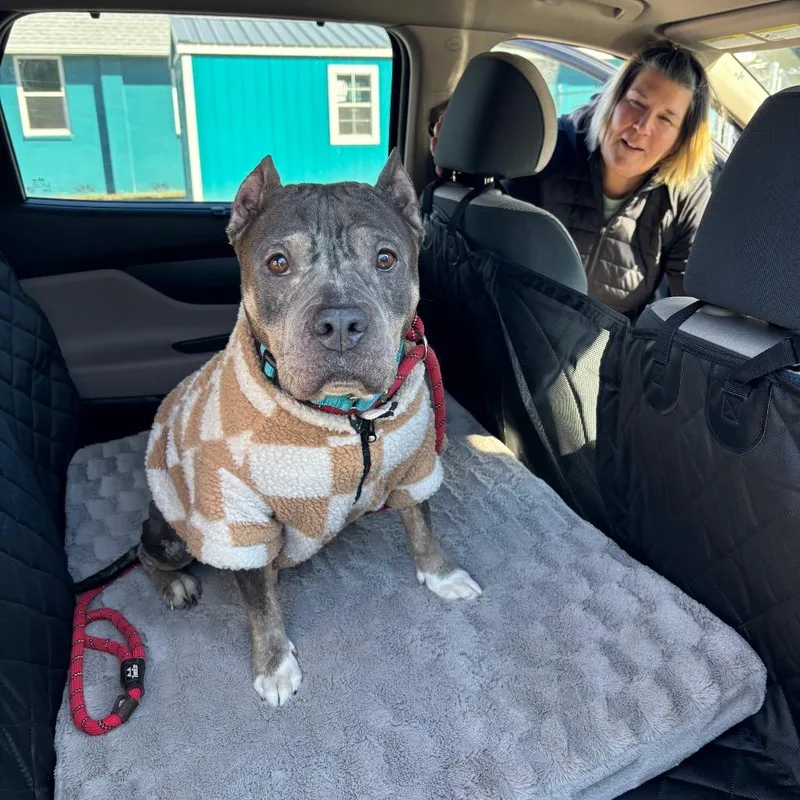 Gramma Juju thumbnail 6