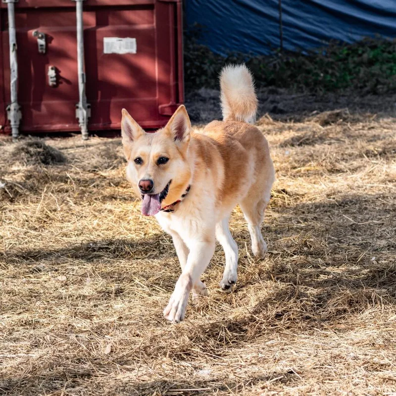 Betty White Fka Daisy