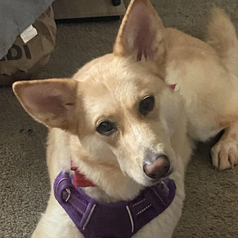 Betty White Fka Daisy thumbnail 3