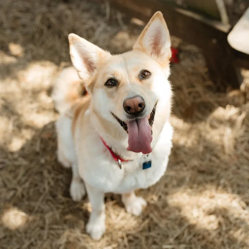 Betty White Fka Daisy thumbnail 4