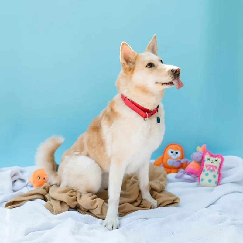 Betty White Fka Daisy thumbnail 5