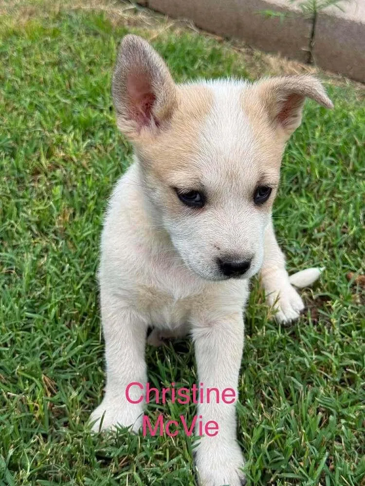 Christine McVie thumbnail 2
