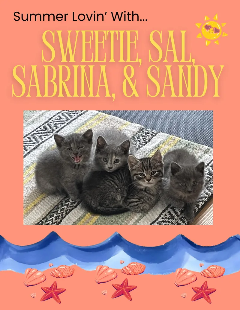 Sweetie  Sandy  thumbnail 2