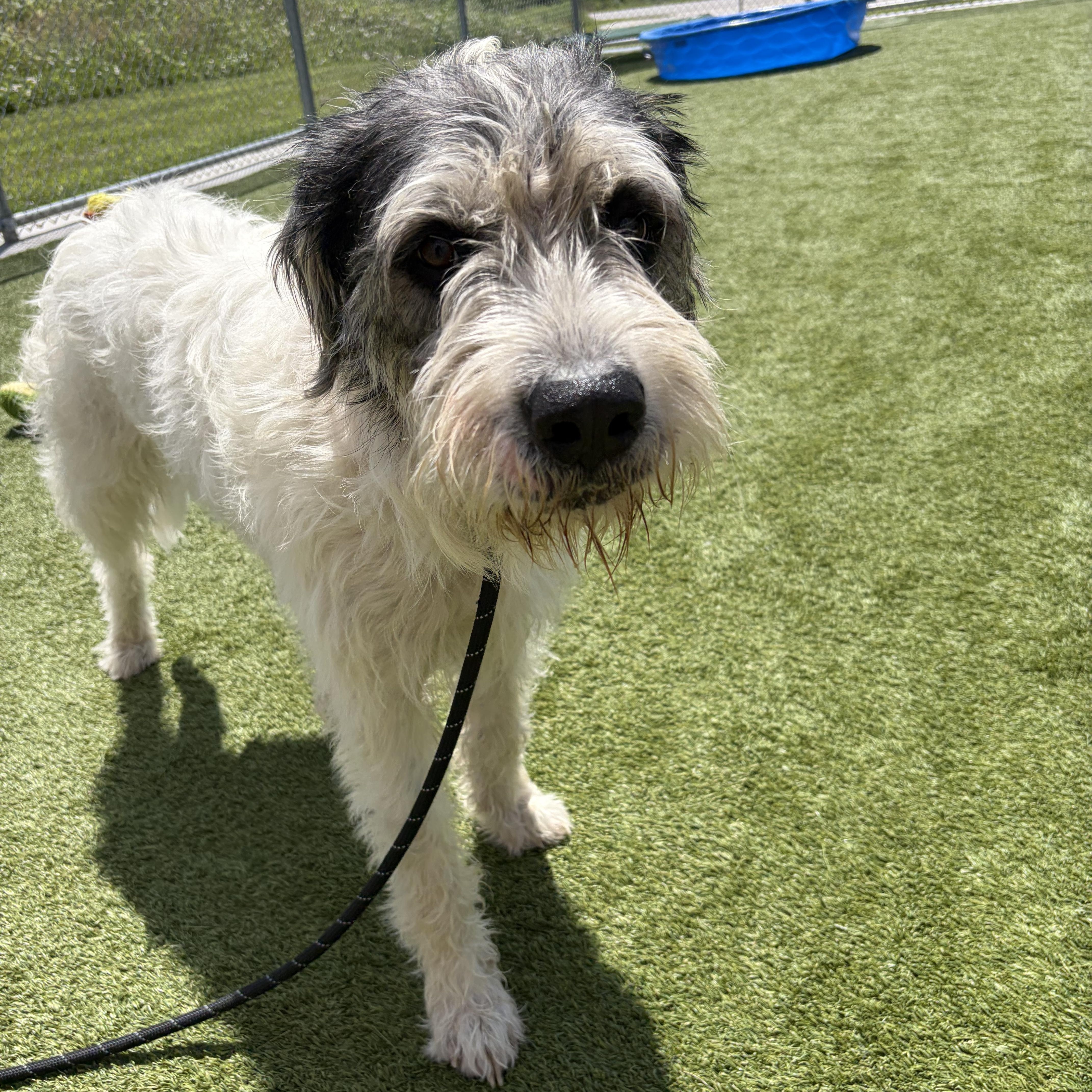Wilson thumbnail 2