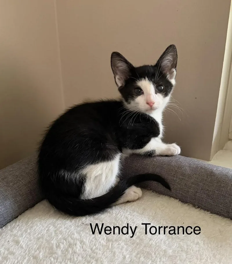 Wendy Torrance thumbnail 4