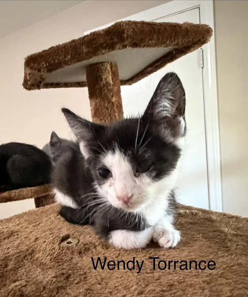 Wendy Torrance thumbnail 6