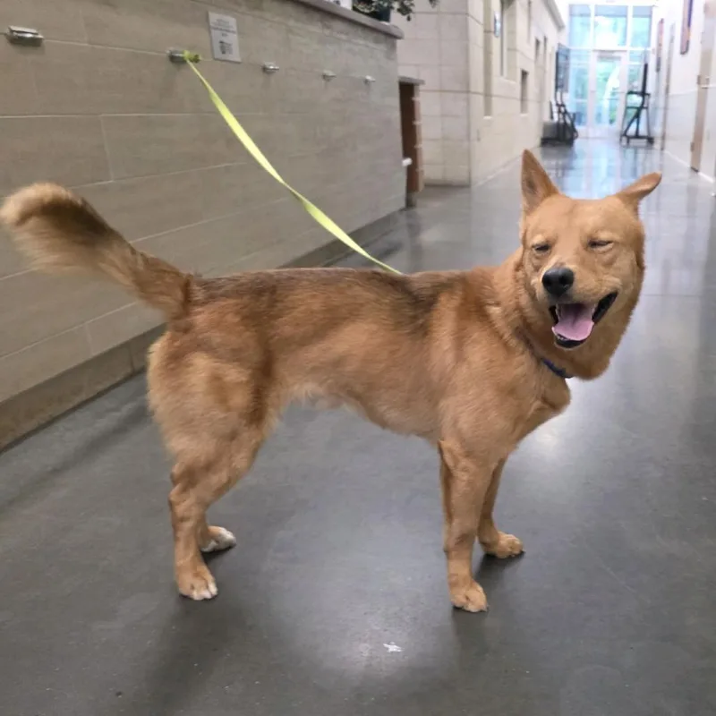 Bluegrass thumbnail 2