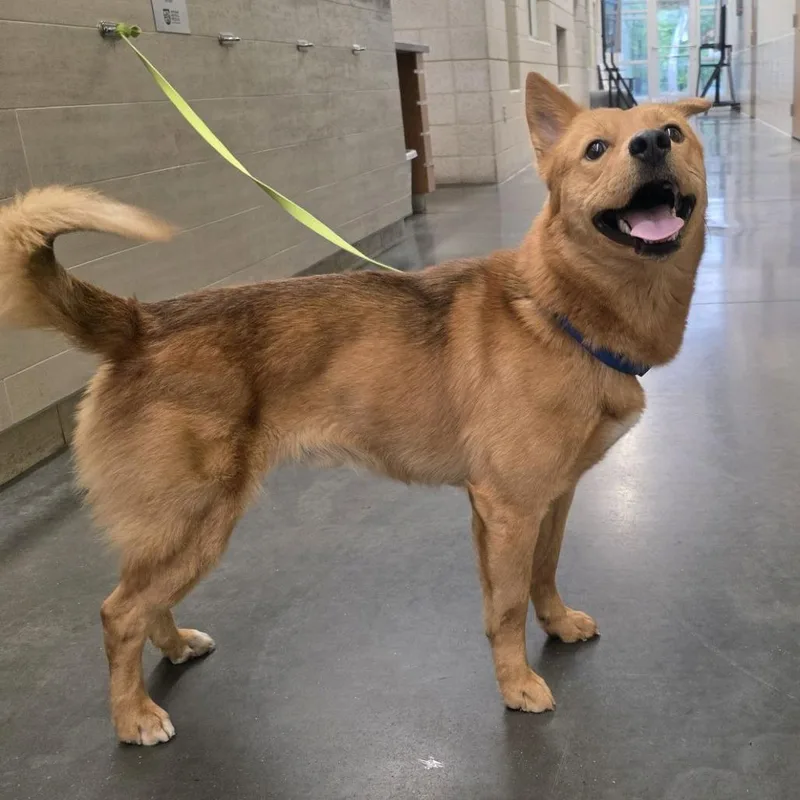 Bluegrass thumbnail 5