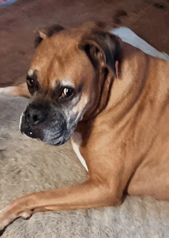 Roscoe