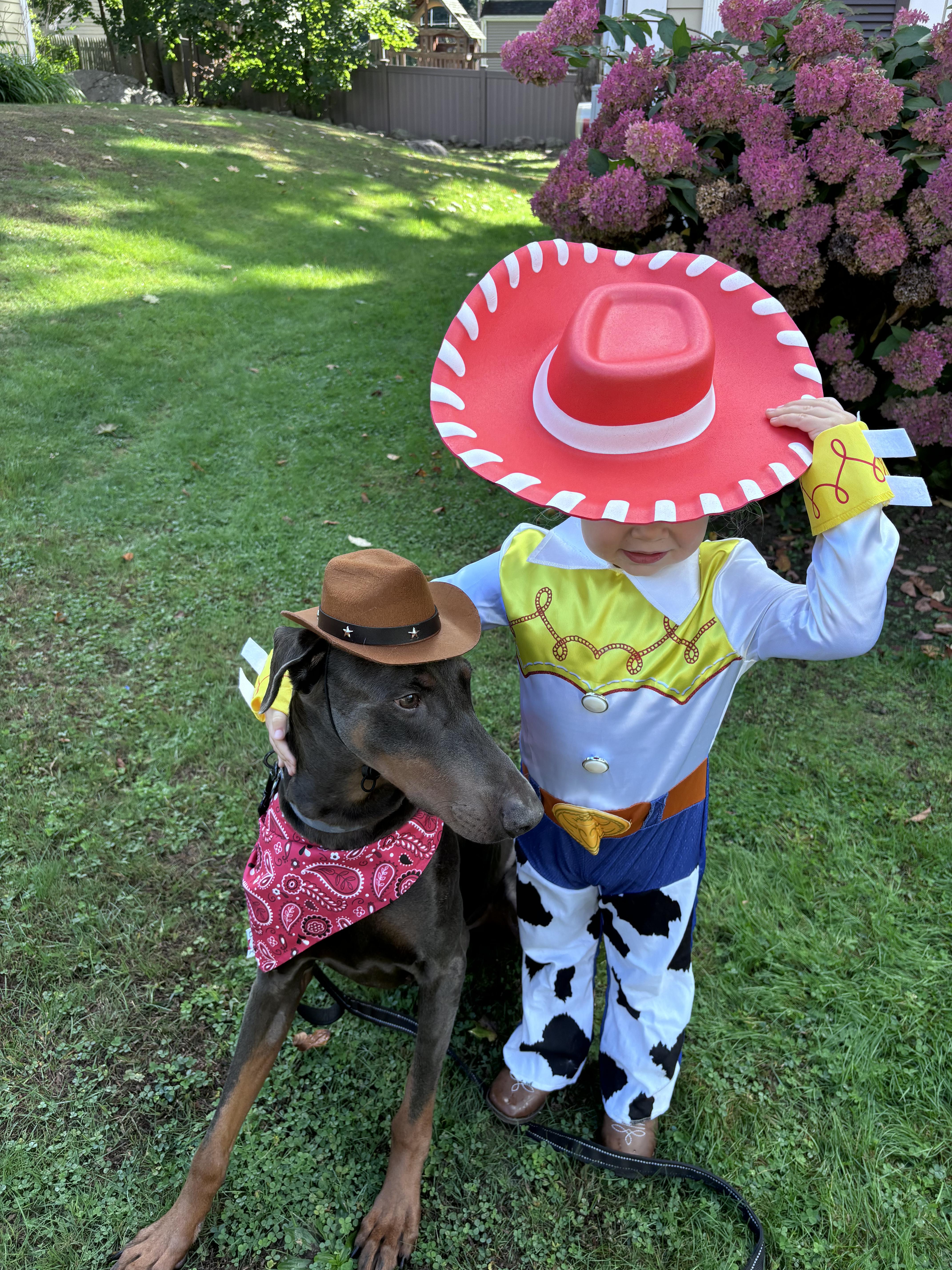 Rex Theodore thumbnail 4