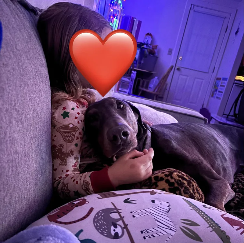 Rex Theodore thumbnail 6