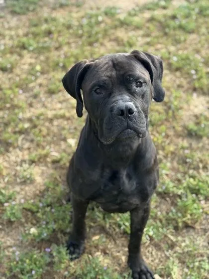 Grizelda thumbnail 3