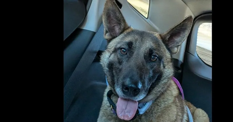 Bianca Located In Michigan