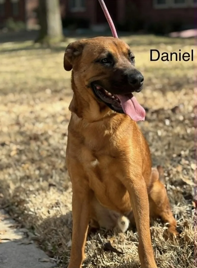 Daniel thumbnail 3