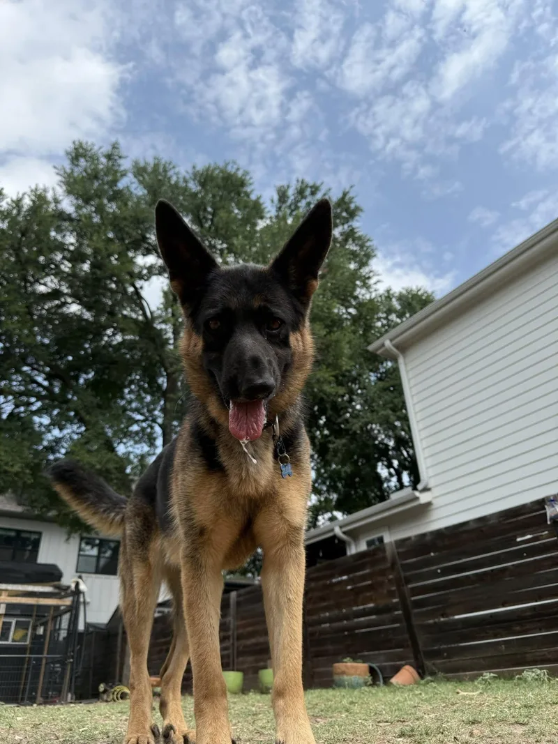 Yennifer thumbnail 2