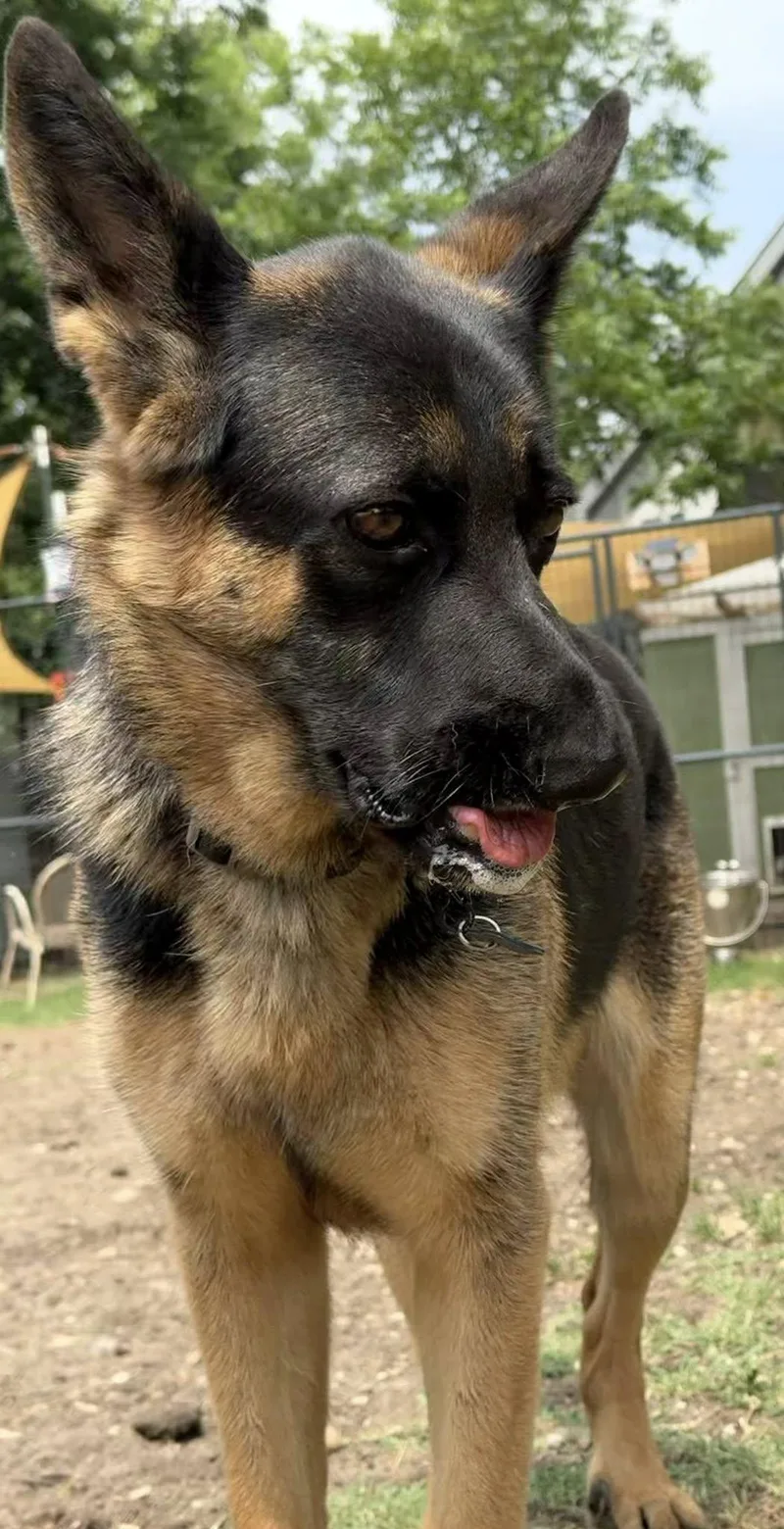 Yennifer thumbnail 3