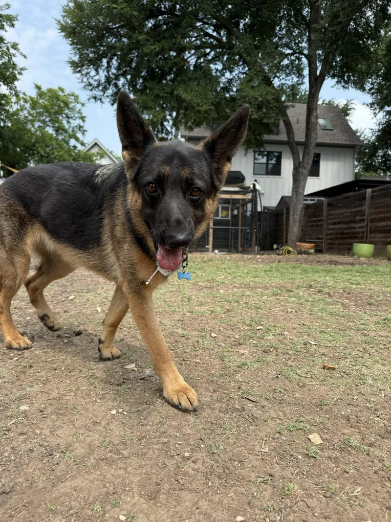 Yennifer thumbnail 4