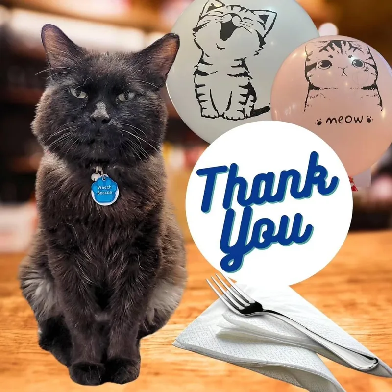 Doug Judybonded Buddy Program thumbnail 2