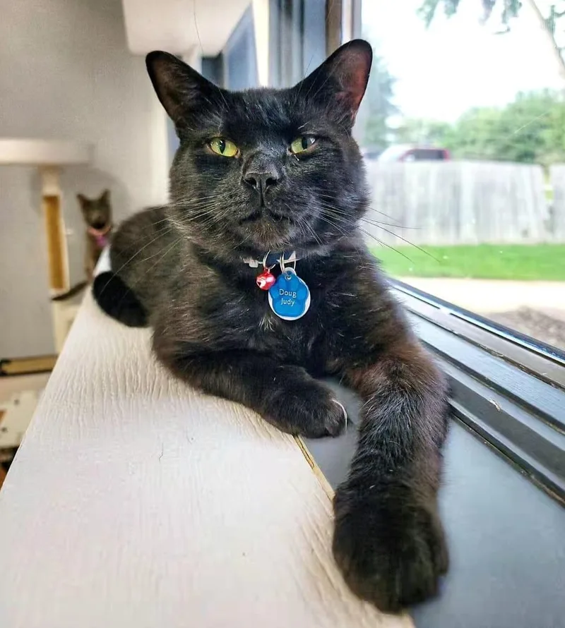 Doug Judybonded Buddy Program