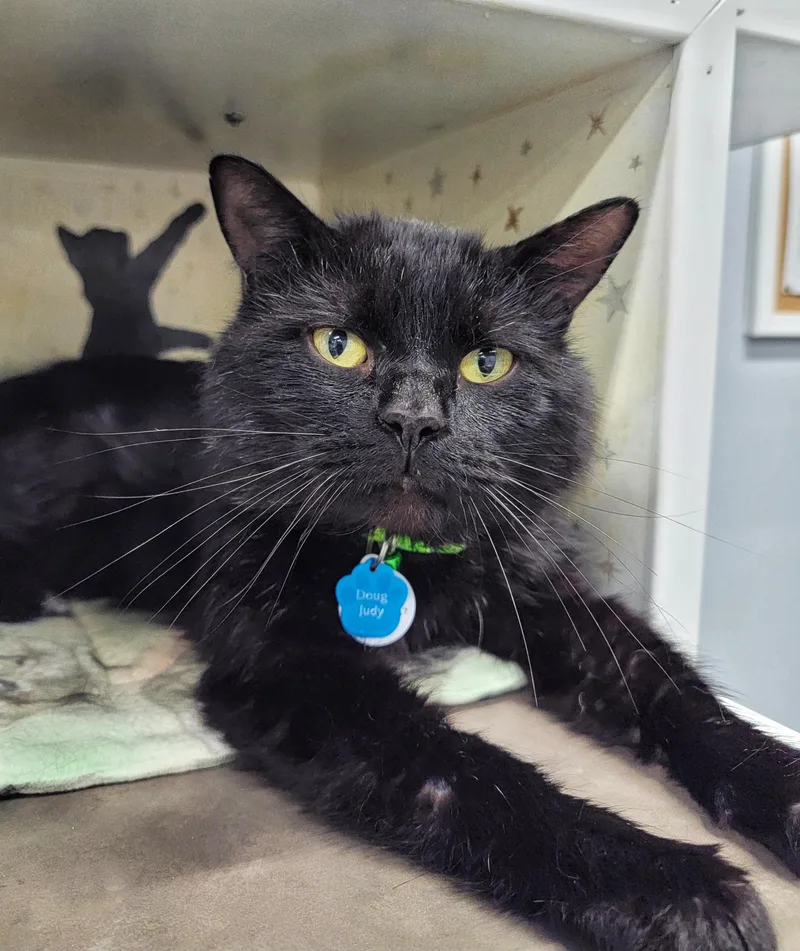 Doug Judybonded Buddy Program thumbnail 3