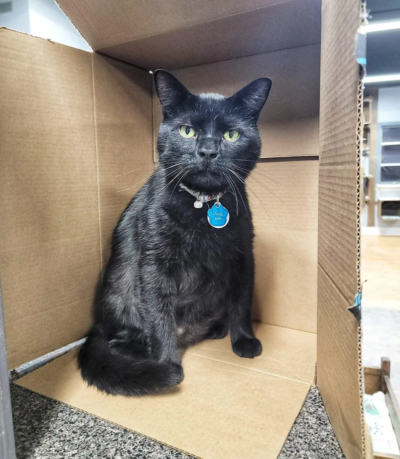 Doug Judybonded Buddy Program thumbnail 4