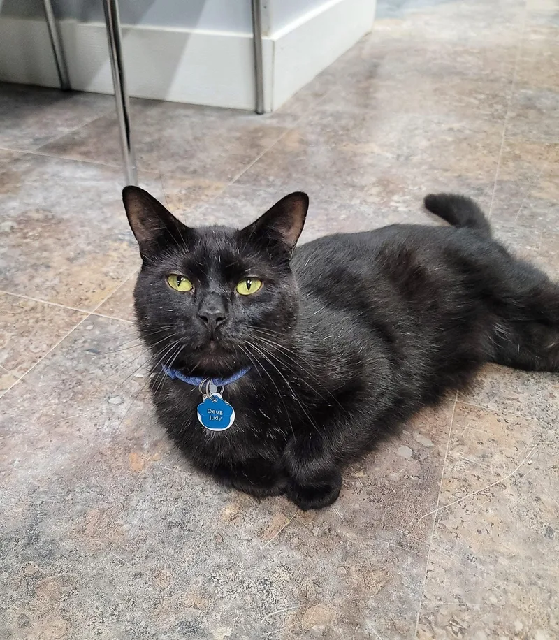 Doug Judybonded Buddy Program thumbnail 5