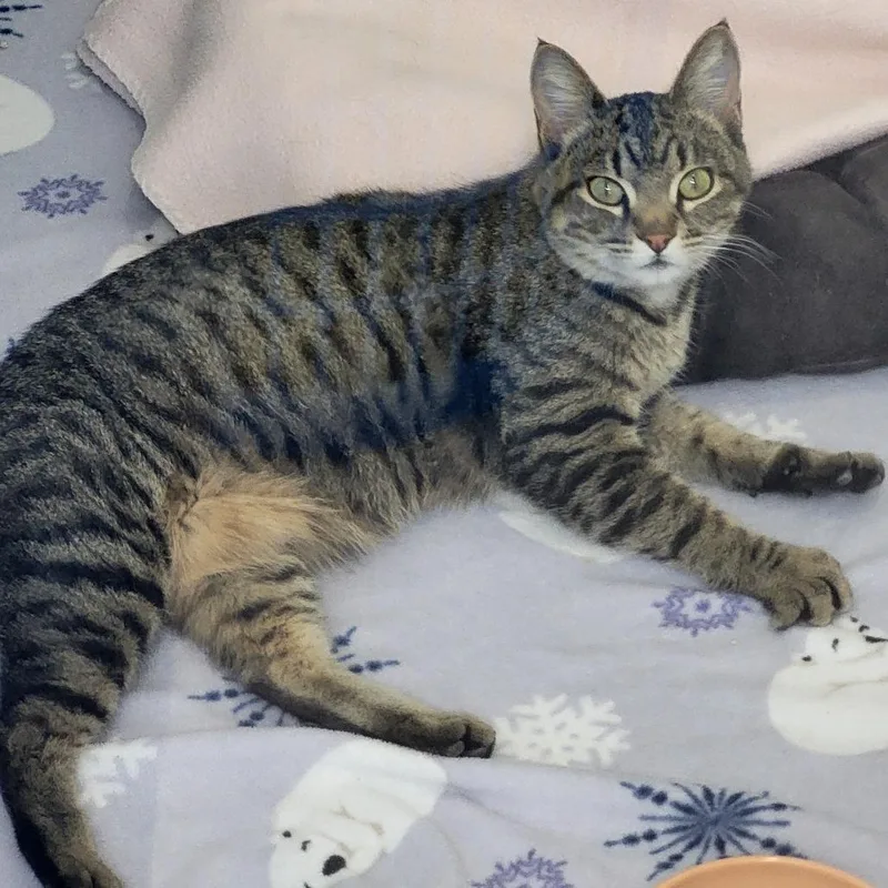 Willa Mae thumbnail 3