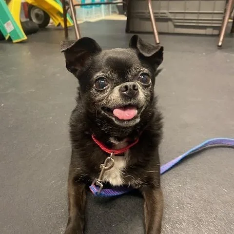 Pablobonded To Wrigley