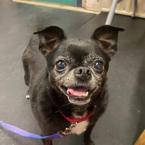 Pablobonded To Wrigley thumbnail 2