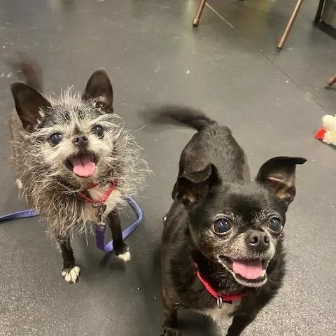 Pablobonded To Wrigley thumbnail 3
