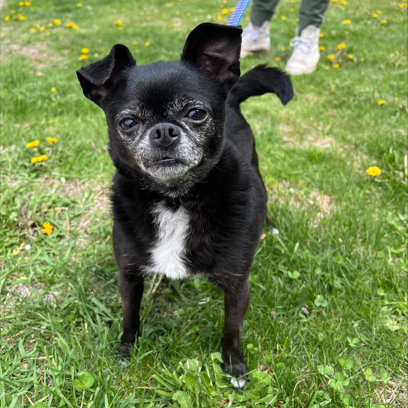 Pablobonded To Wrigley thumbnail 4