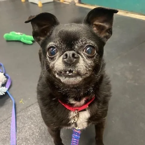 Pablobonded To Wrigley thumbnail 5