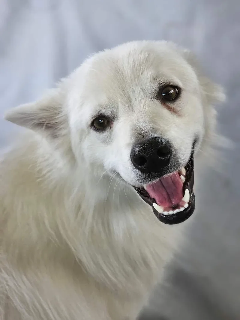 Finnegan Aka Finn thumbnail 4