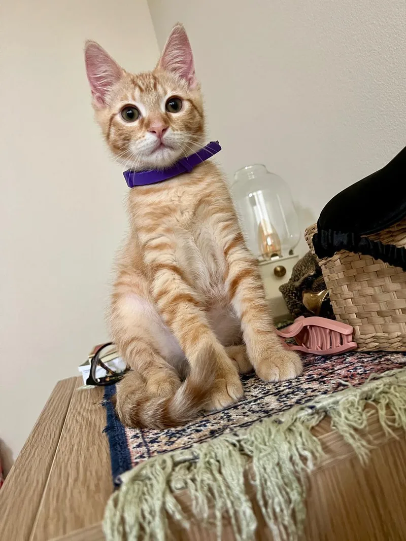 Jerry