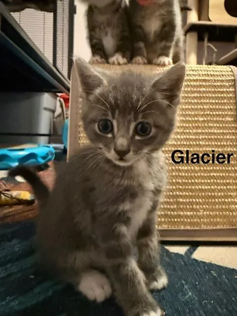 Glacier thumbnail 2