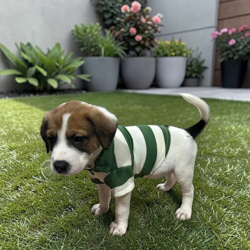 Toblerone thumbnail 4