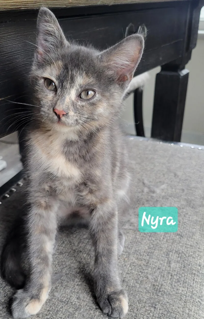 Nyra thumbnail 2