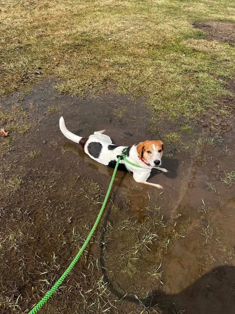 Leroy thumbnail 3