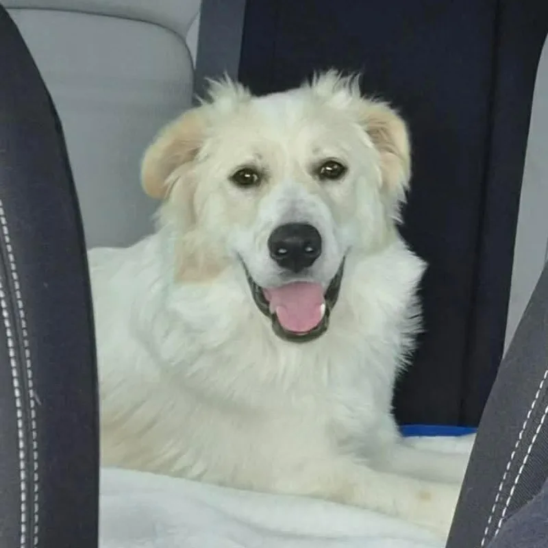 Lil' Sly thumbnail 2