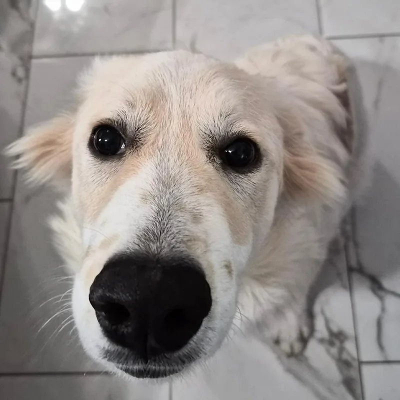 Lil' Sly thumbnail 3