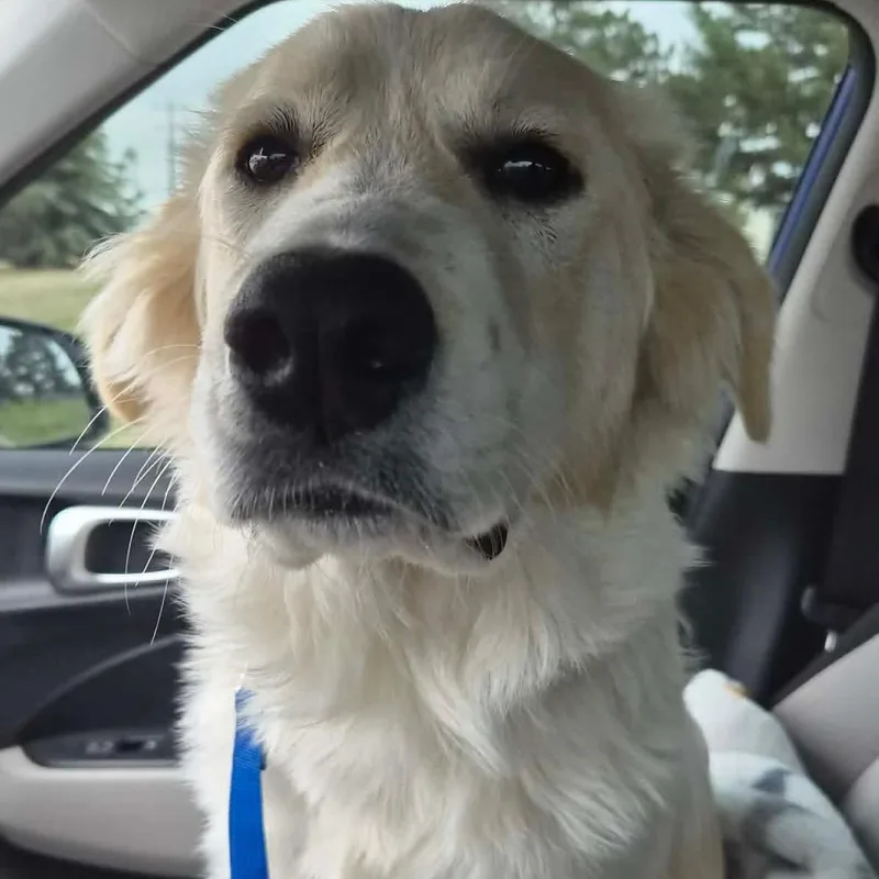 Lil' Sly thumbnail 5