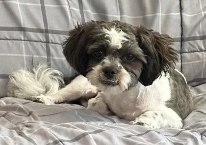 Duncan
