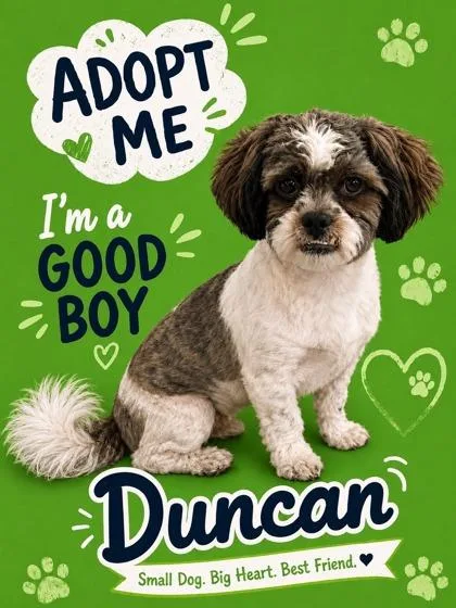Duncan thumbnail 3